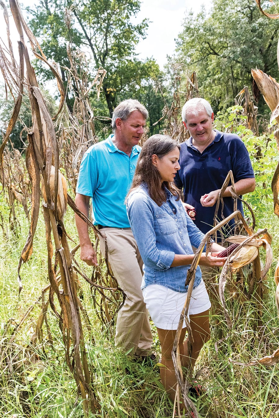 Jimmy Hagood (left), Ann Marshall, and Scott Blackwell inspect the crop.