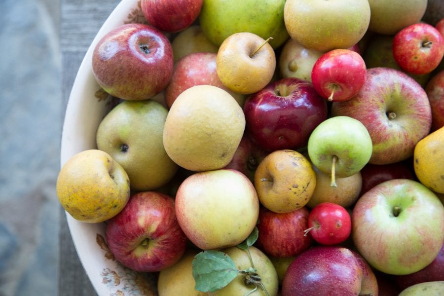 Southern heirloom apples