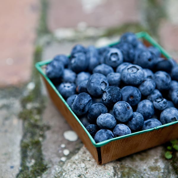 Blueberries HeleneDujardin