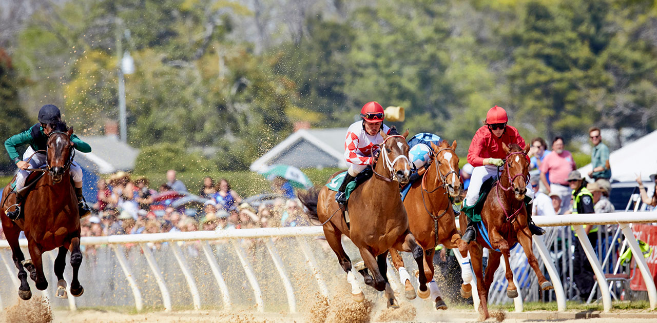 Aiken horse race
