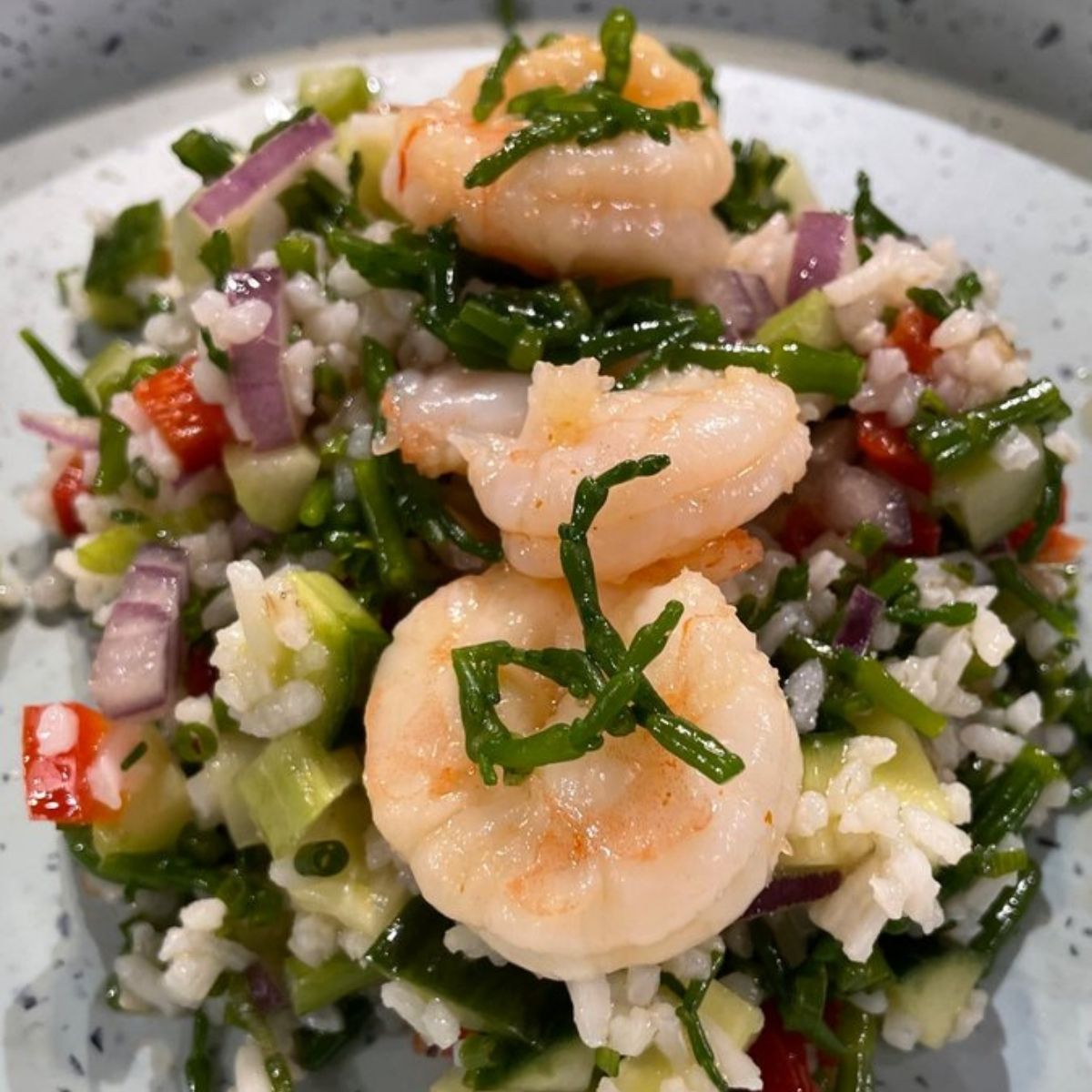 Shrimp Tabouli from SEWE