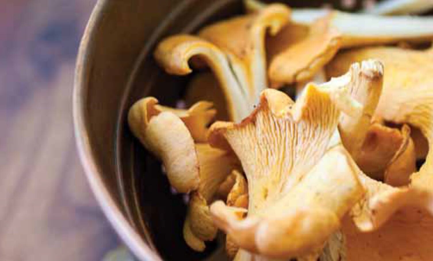 Chanterrelle Mushrooms
