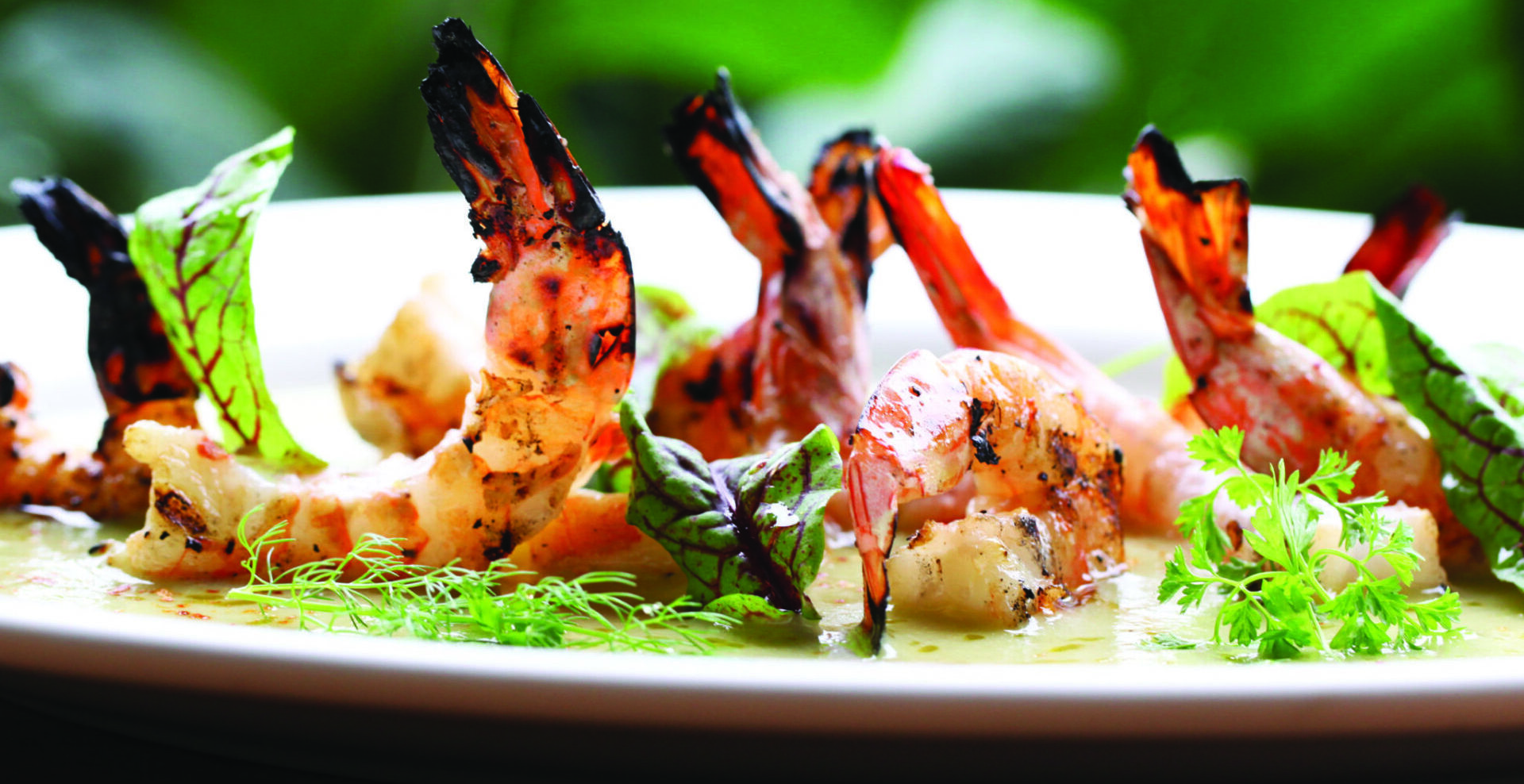 ClickThru_Wood-Grilled-Shrimp-with-White-Cucumber-Gazpacho