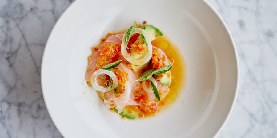 Snapper crudo on plate with citrus zest