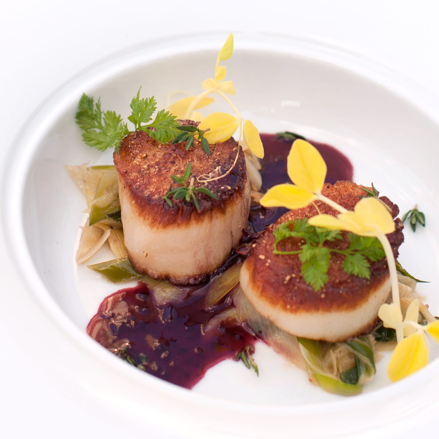 Diver-Scallops-with-Pinot-Noir-Thyme-Butter-copy.jpg