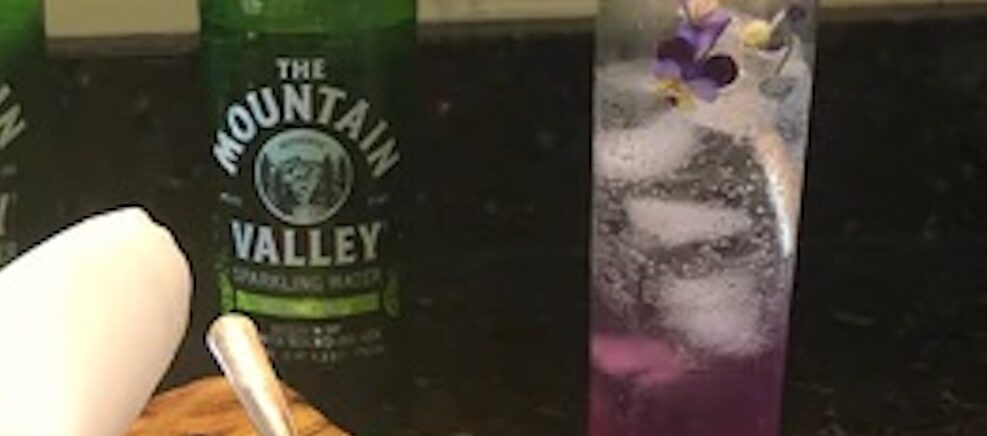 Wild Violet Vodka Spritz