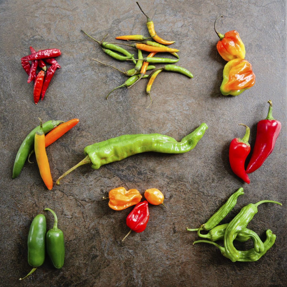 Photograph of a guide of peppers that showcases how many different peppers there are as multiple lay out on concrete