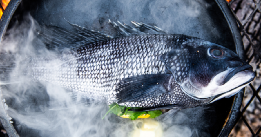 Photograph of a stuffed whole fish roasting on a skillet, a camping food