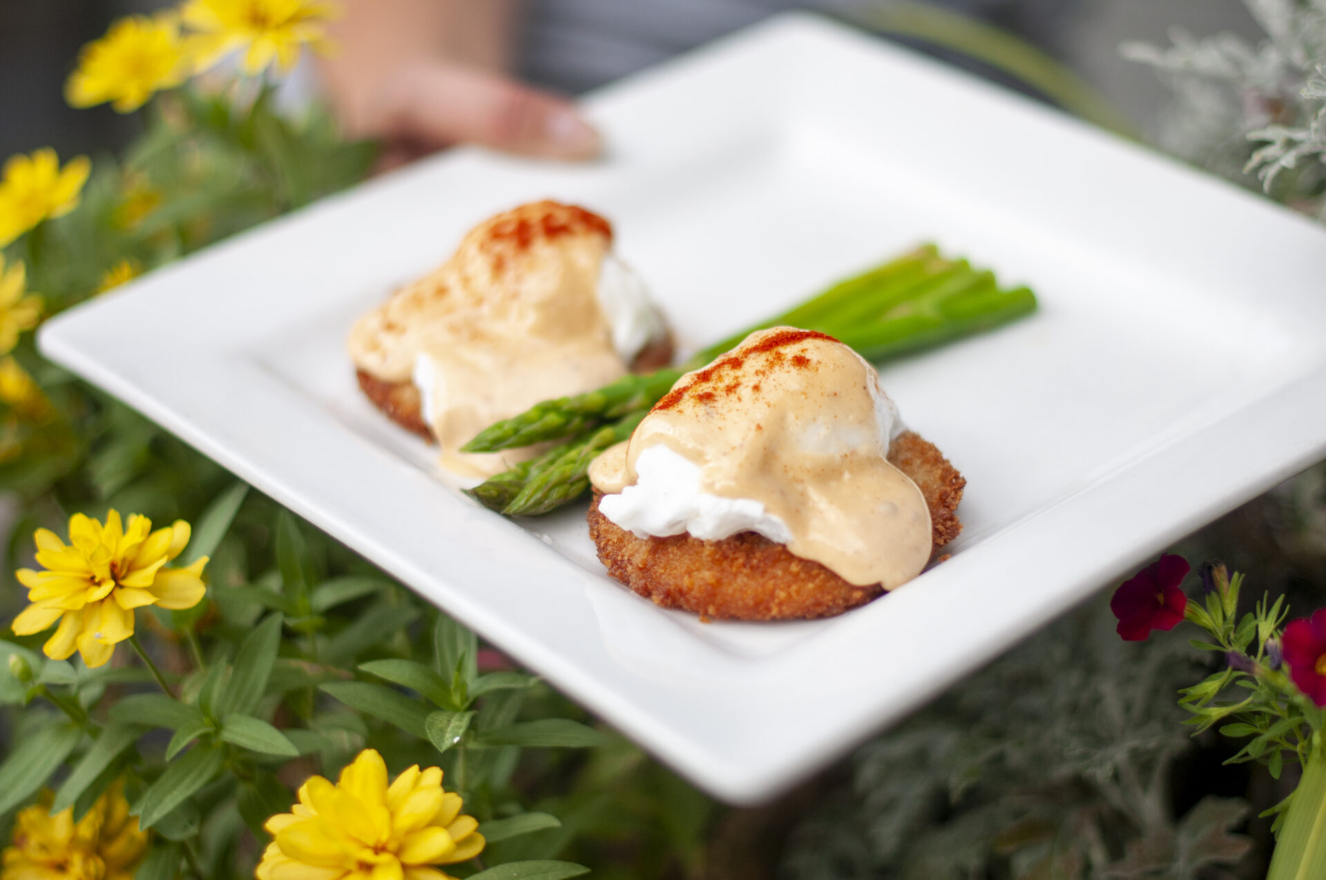 A plate of fried green tomatoes topped with poached eggs and hollandaise. 
