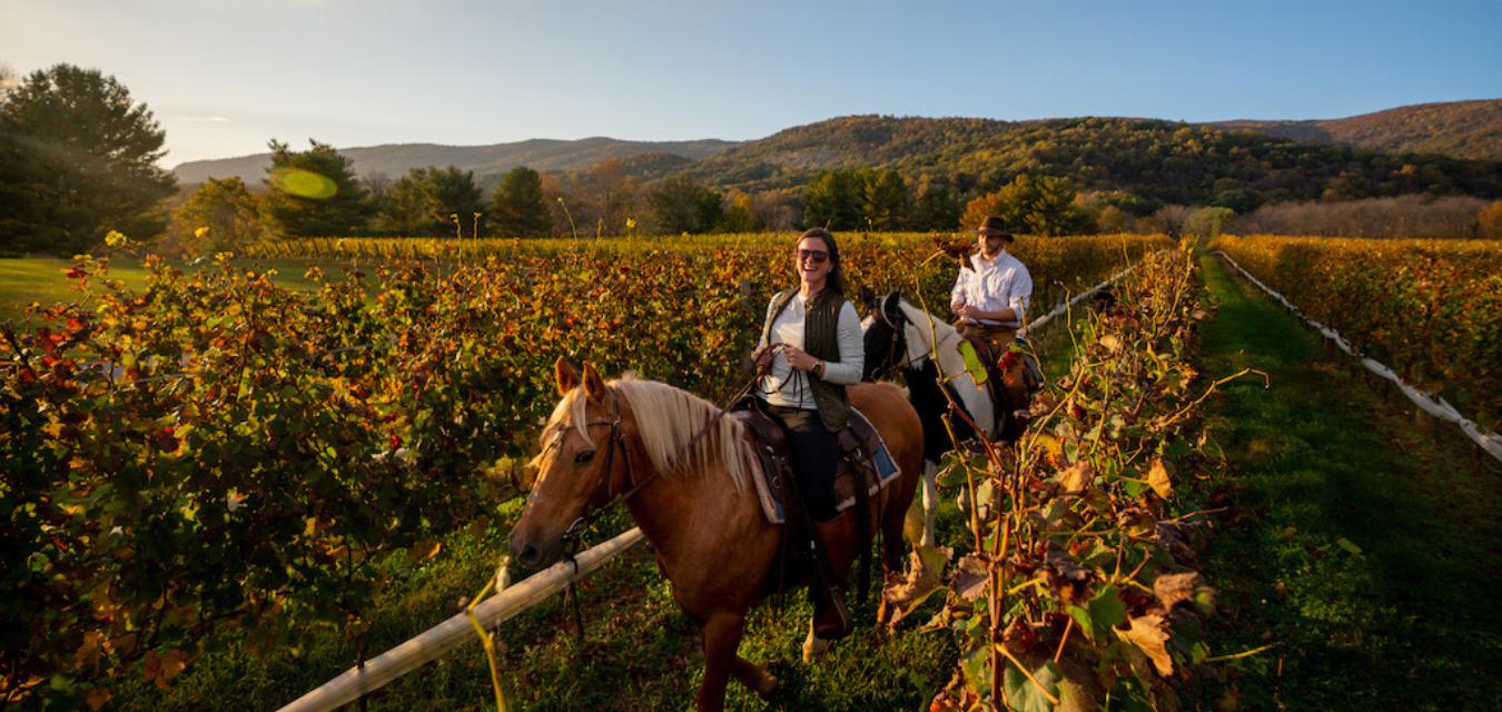 Two people riding horses through Virginia Wine Country