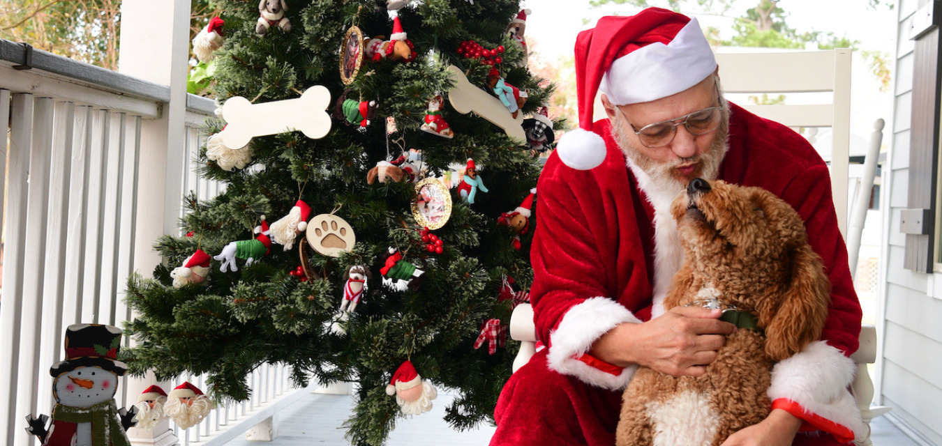 Santa petting a fluffy dog beside a Christmas tree during the Old Mandeville Shop Local Saturday art market event on Girod Street in Louisiana's North Shore