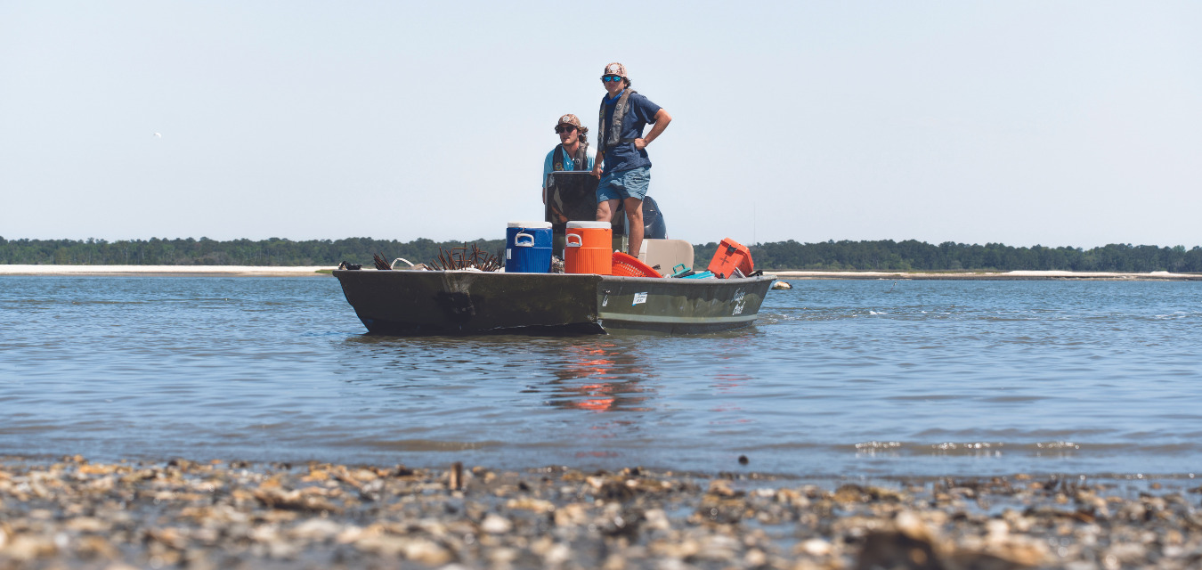 Volunteers assess oyster shell recycling programs in Daufuskie Island