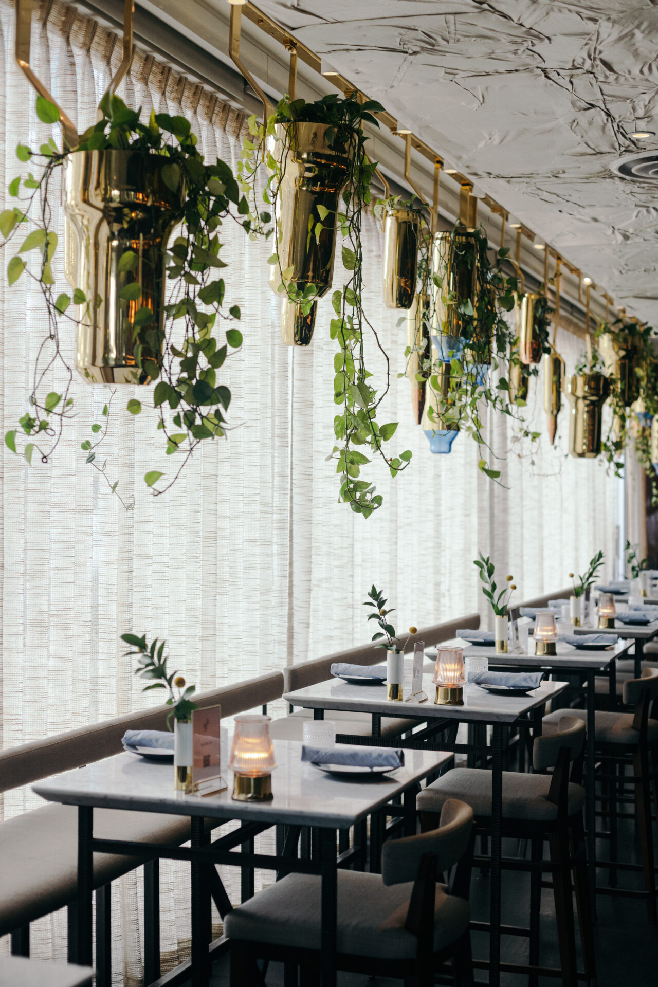 Hanging terrariums over the dining tables inside Arlo Grey in Austin