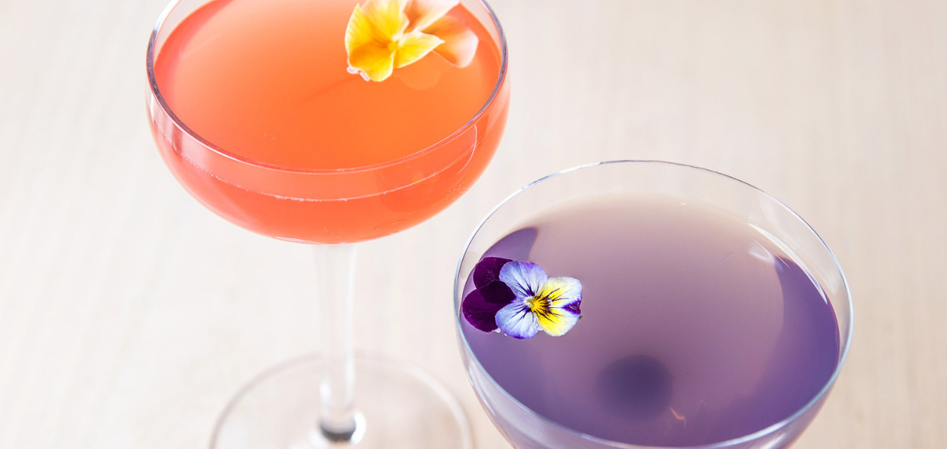 New spring cocktail recipes:  The pink Elevation cocktail. 