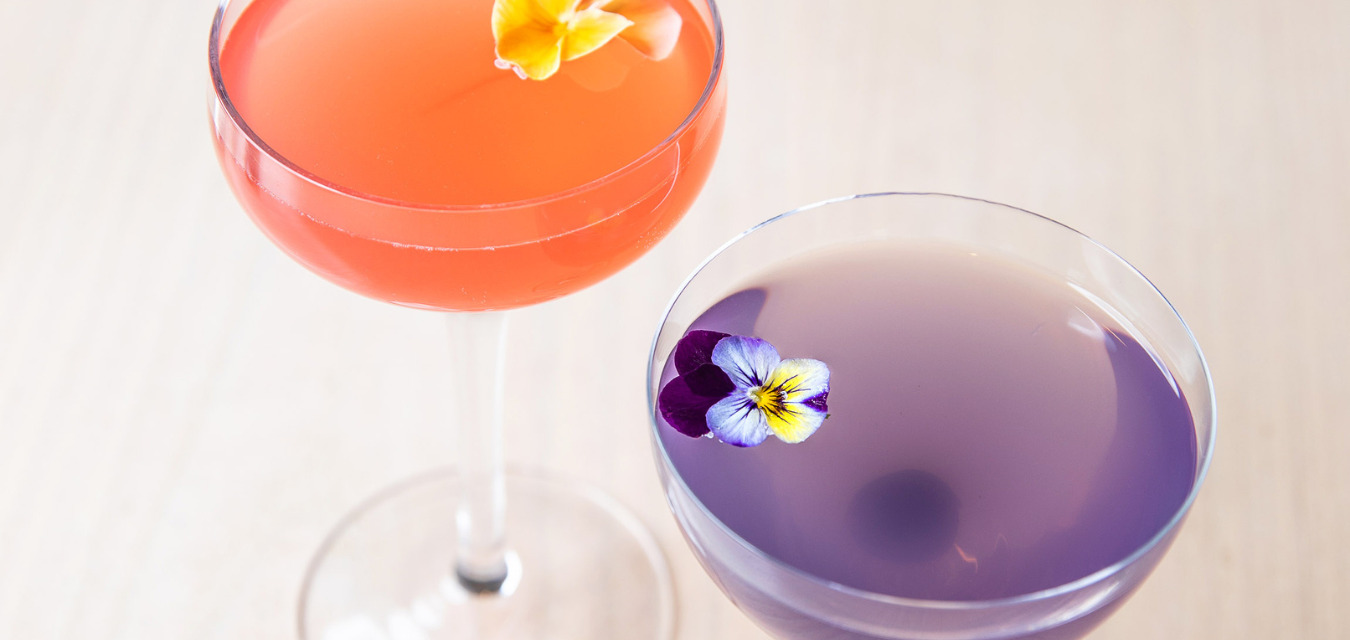 lavender and red colored Elevation cocktails it two glasses