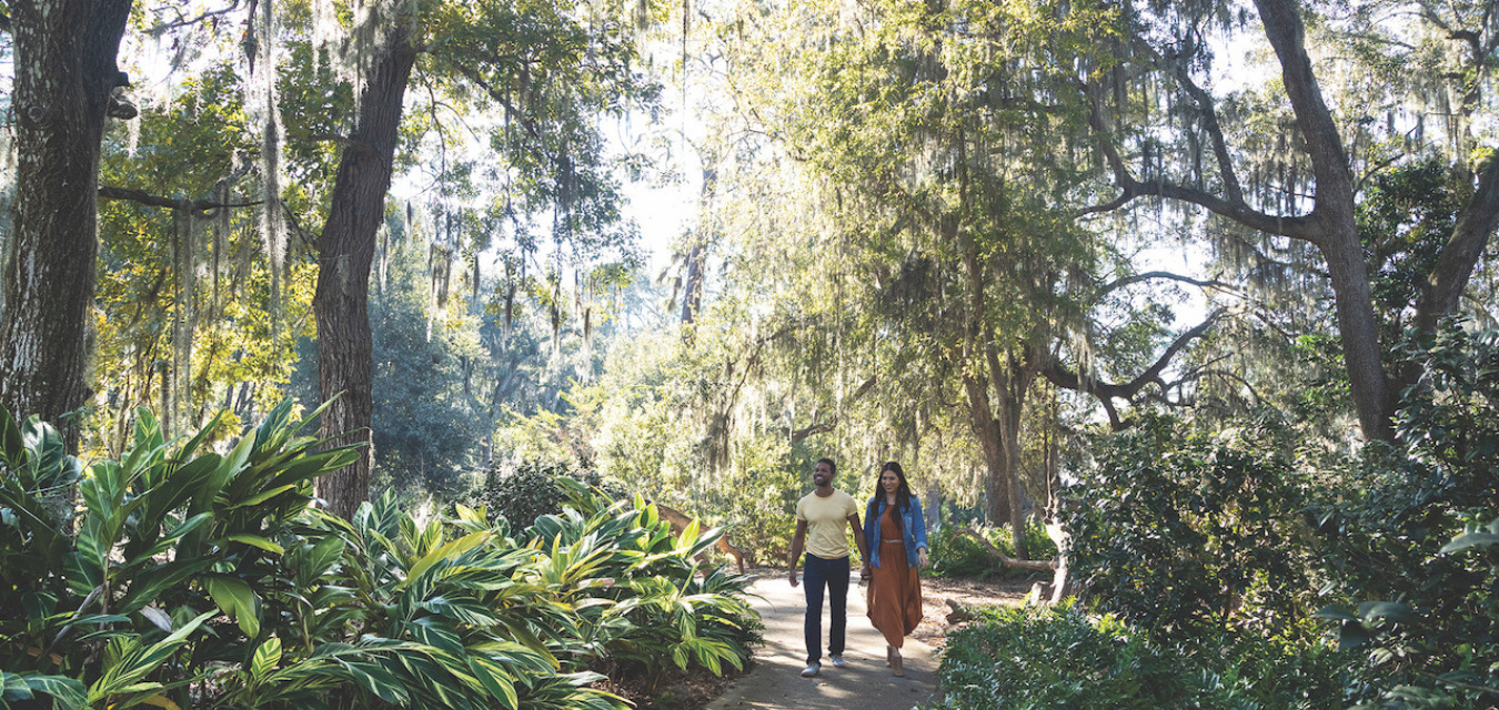 Couple walking through trees in Ocala Florida