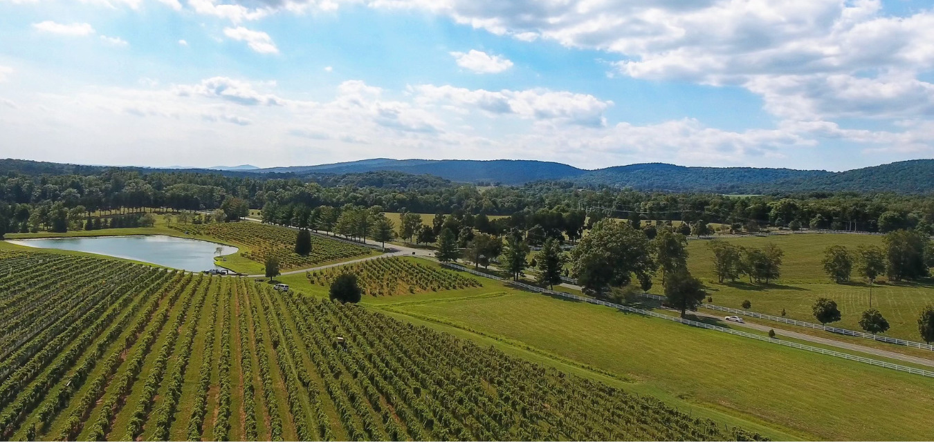 Albemarle County Wine Country feat