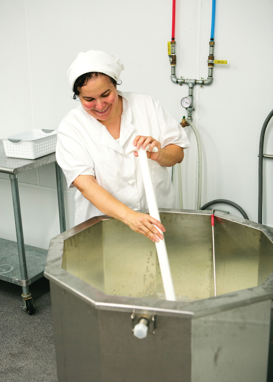 Cheesemaker stirring vat of cheese curds at Pure Luck Dairy Creamery