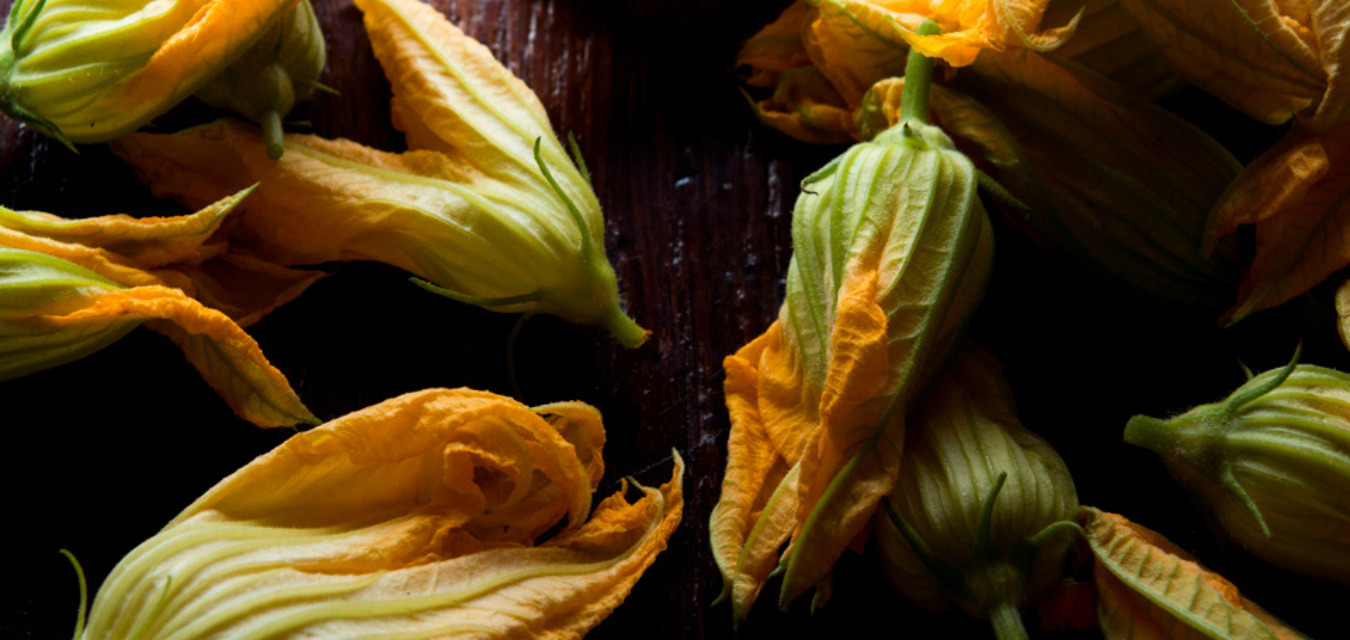 Squash Blossoms Featured on a dark wood background