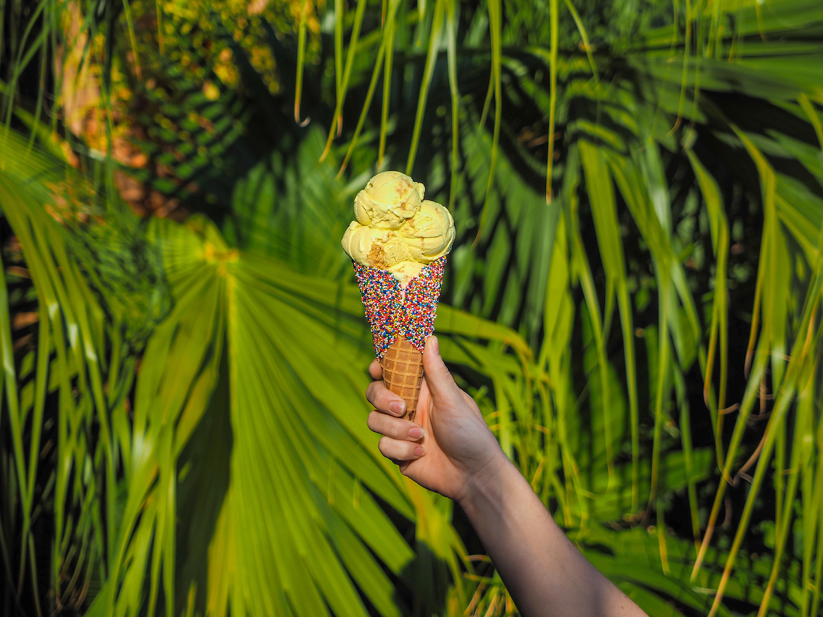 Ice cream with sprinkles in a cone held up against a green backdrop