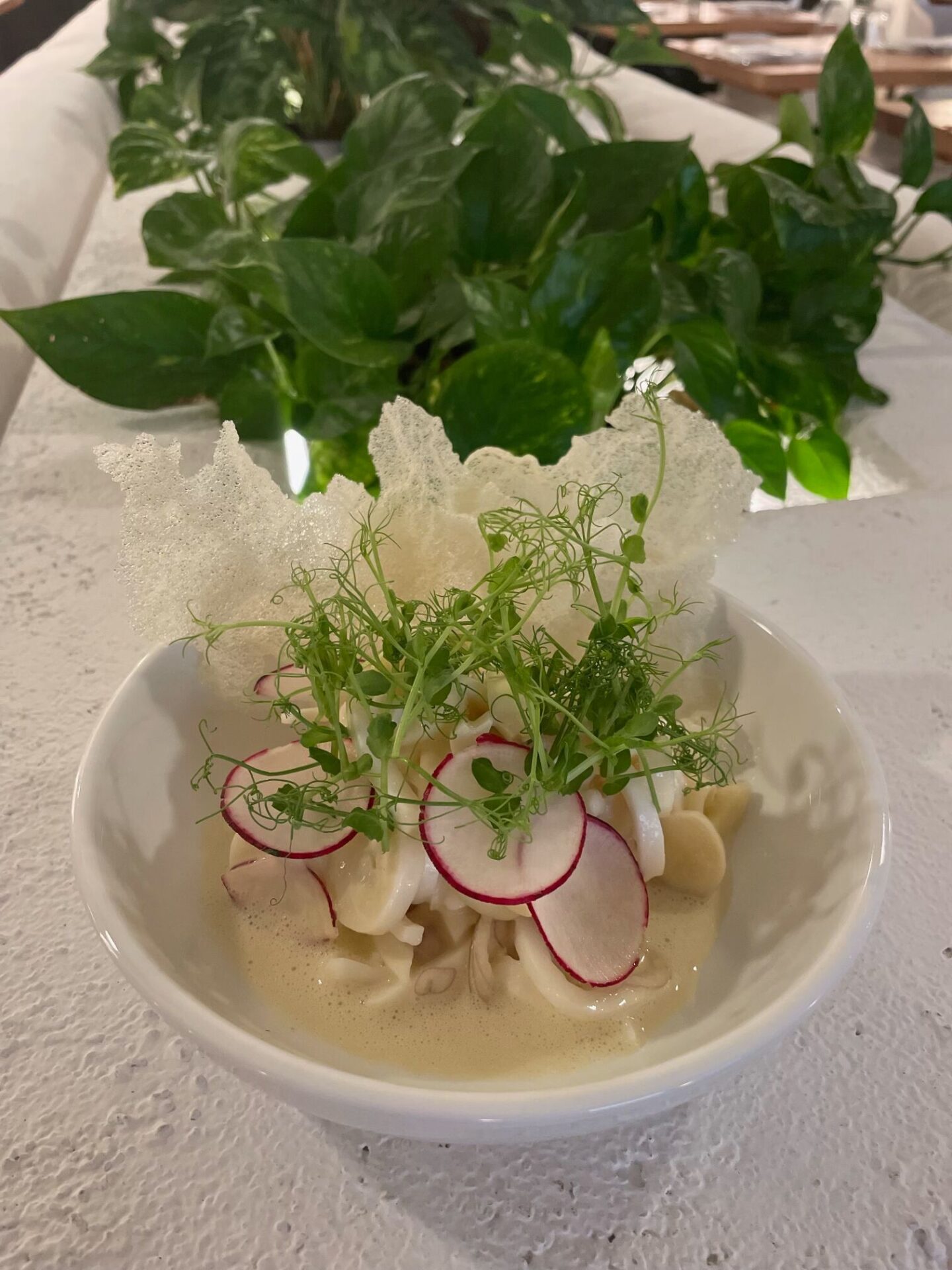Mauricios Ceviche from The Green House