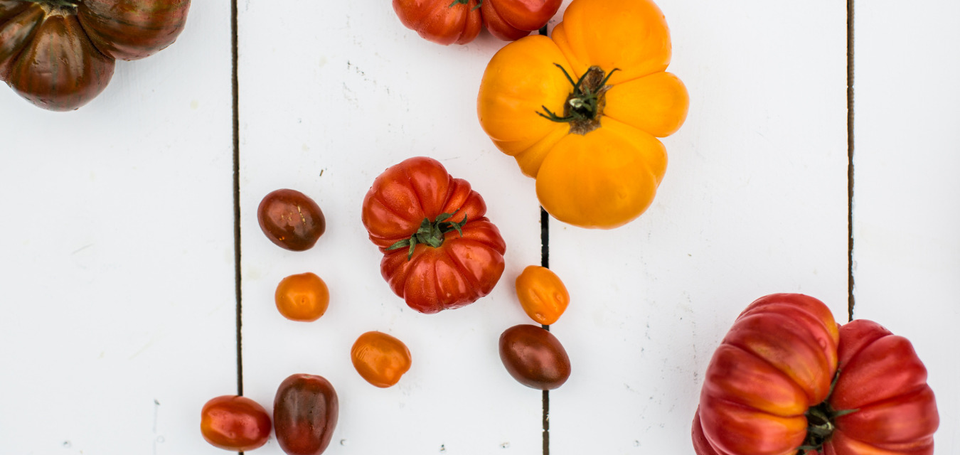 Heirloom Tomatoes on a white background