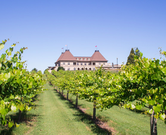 chateau elan winery homepage a nod to georgias official grape quad eebcedf