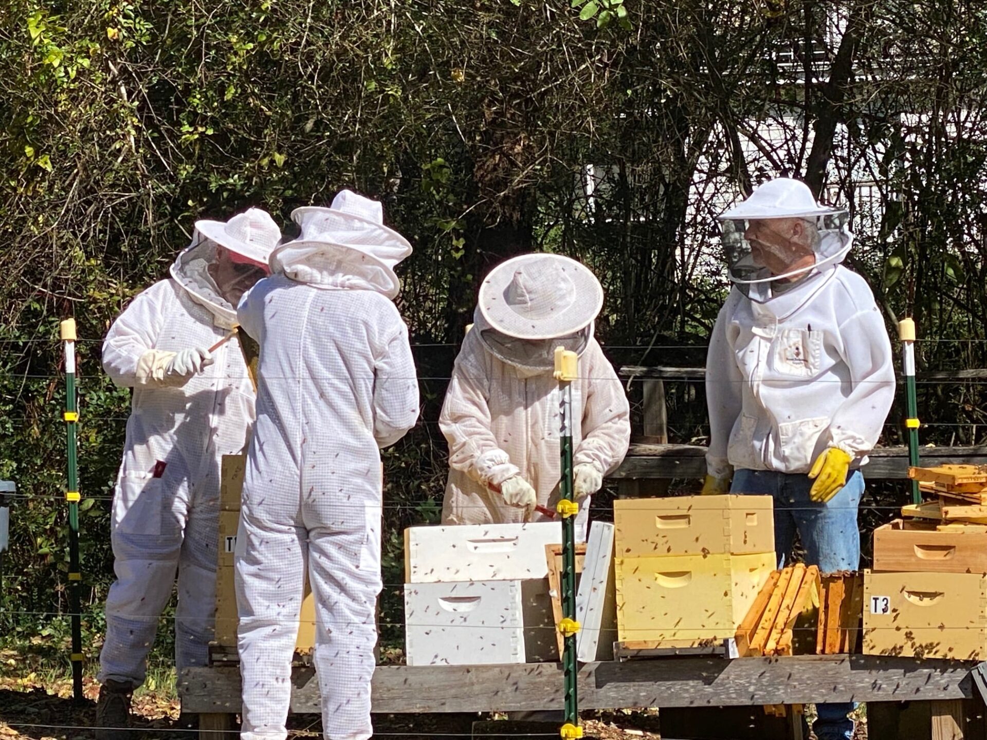 Beekeepers making honey at the farm
