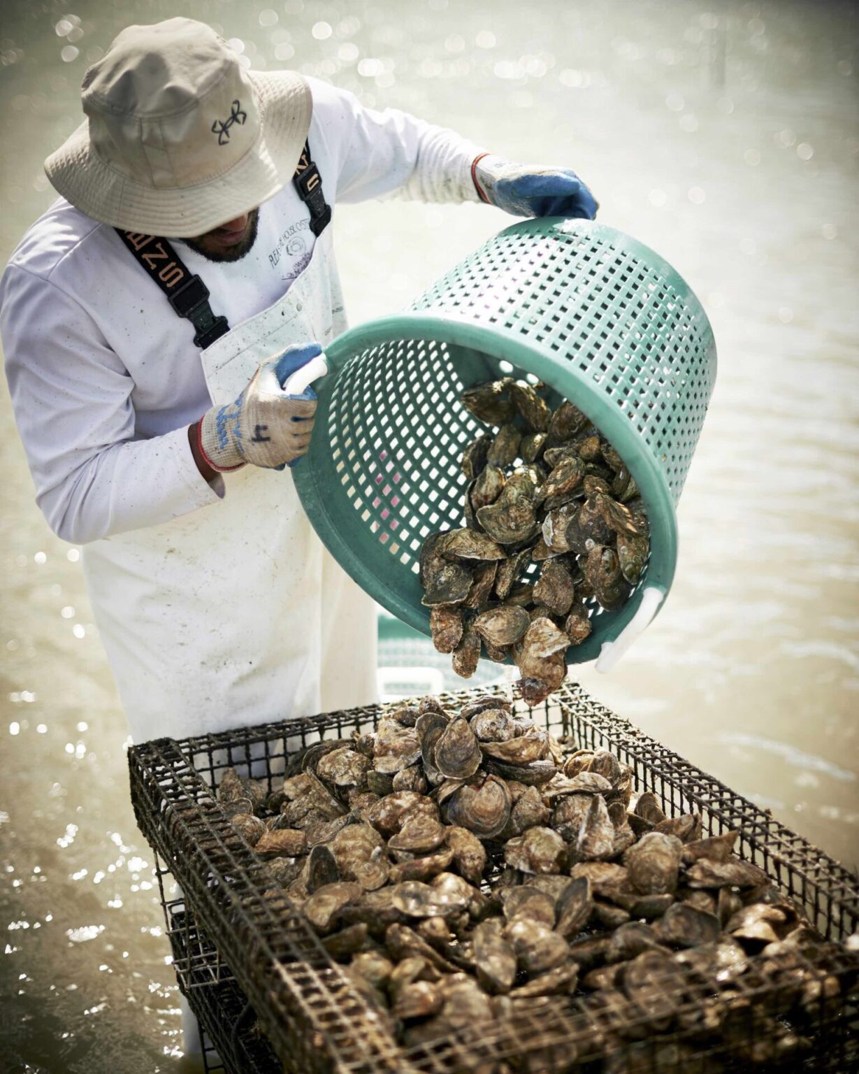 Lynnhaven Oyster: A Triumphant Return To Virginia Beach - The Local Palate