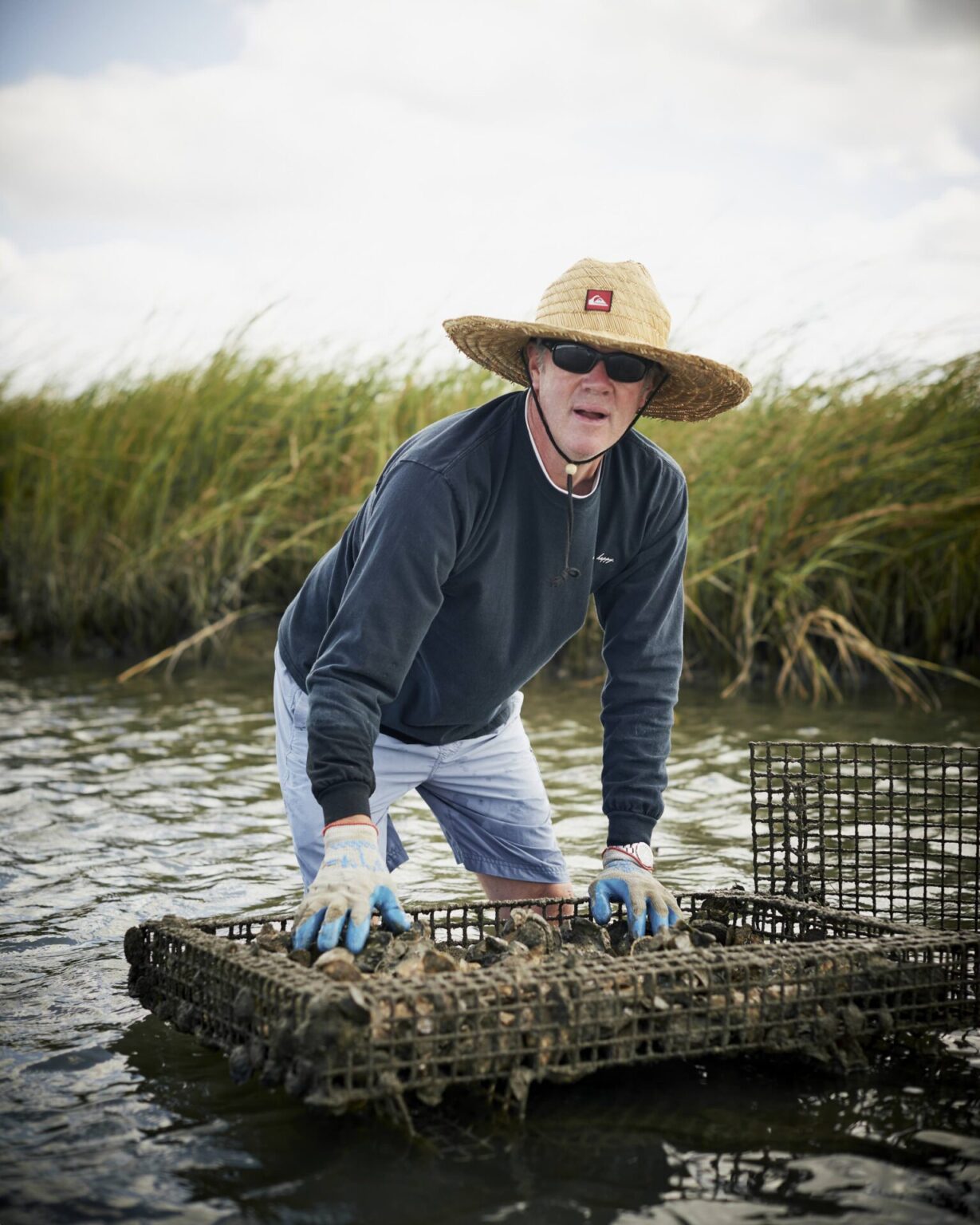 Lynnhaven Oyster: A Triumphant Return To Virginia Beach - The Local Palate