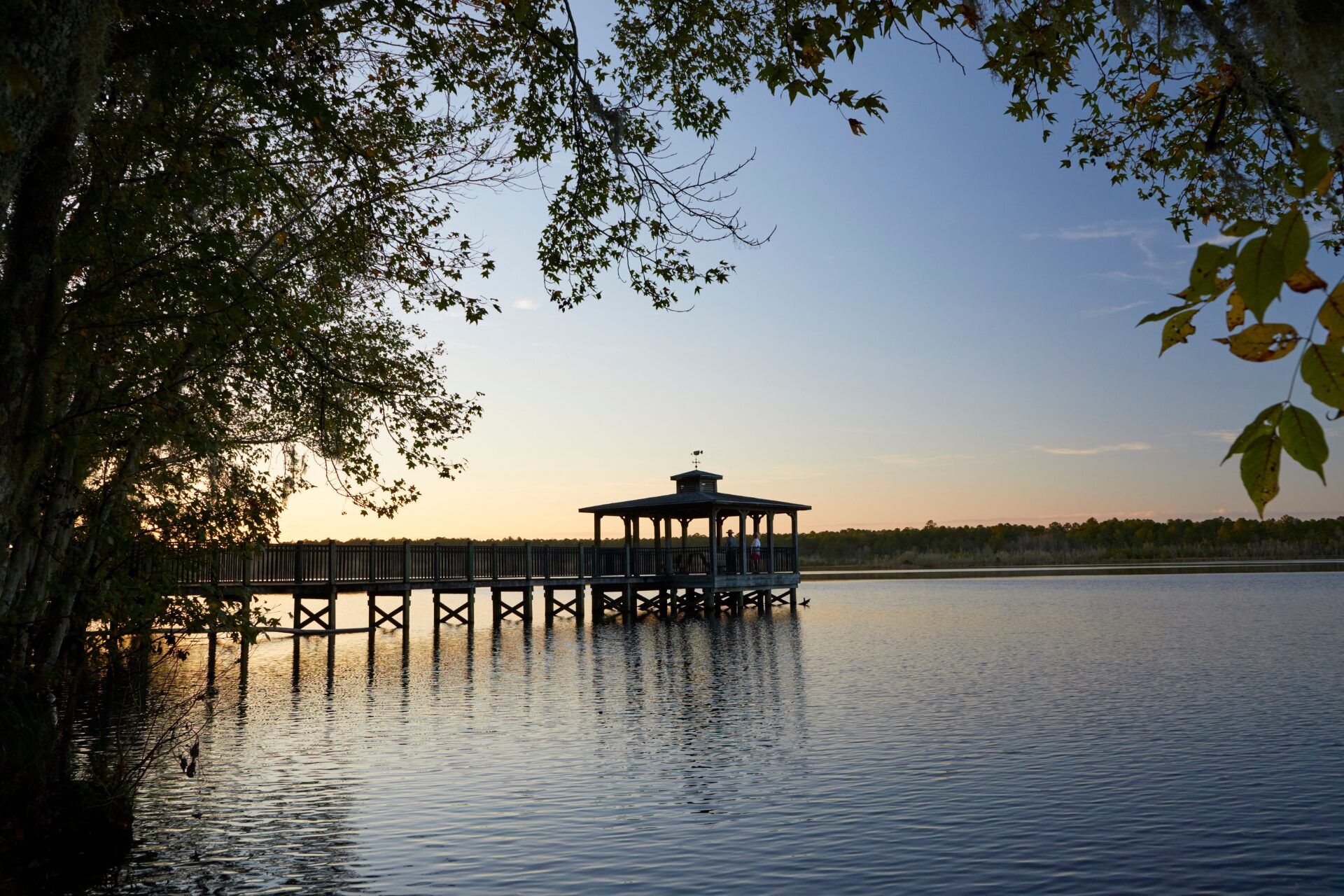 A dock in in South Carolina Lowcountry