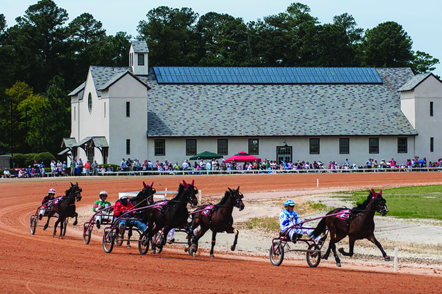 trotters at harness track in Pinehurst