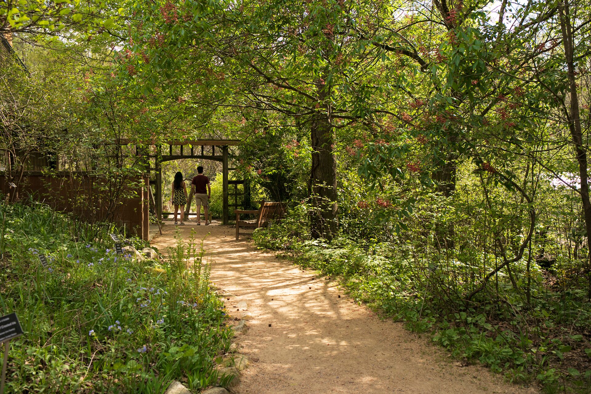 North Carolina Botanical Garden in Chapel Hill, North Carolina