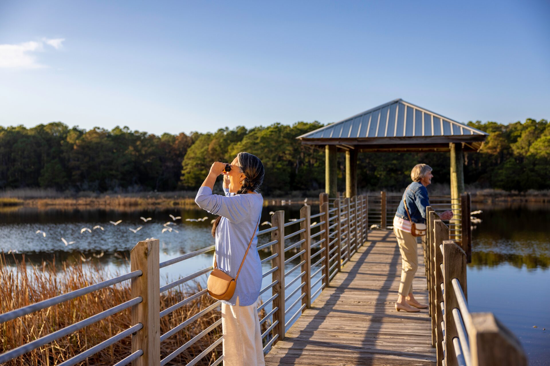Person bird watching at Huntington Beach State Park in Myrtle Beach, South Carolina.