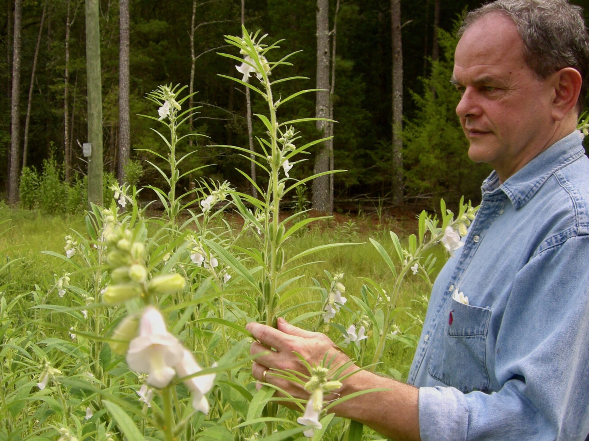 Image of David Shields, coauthor of Taste the South