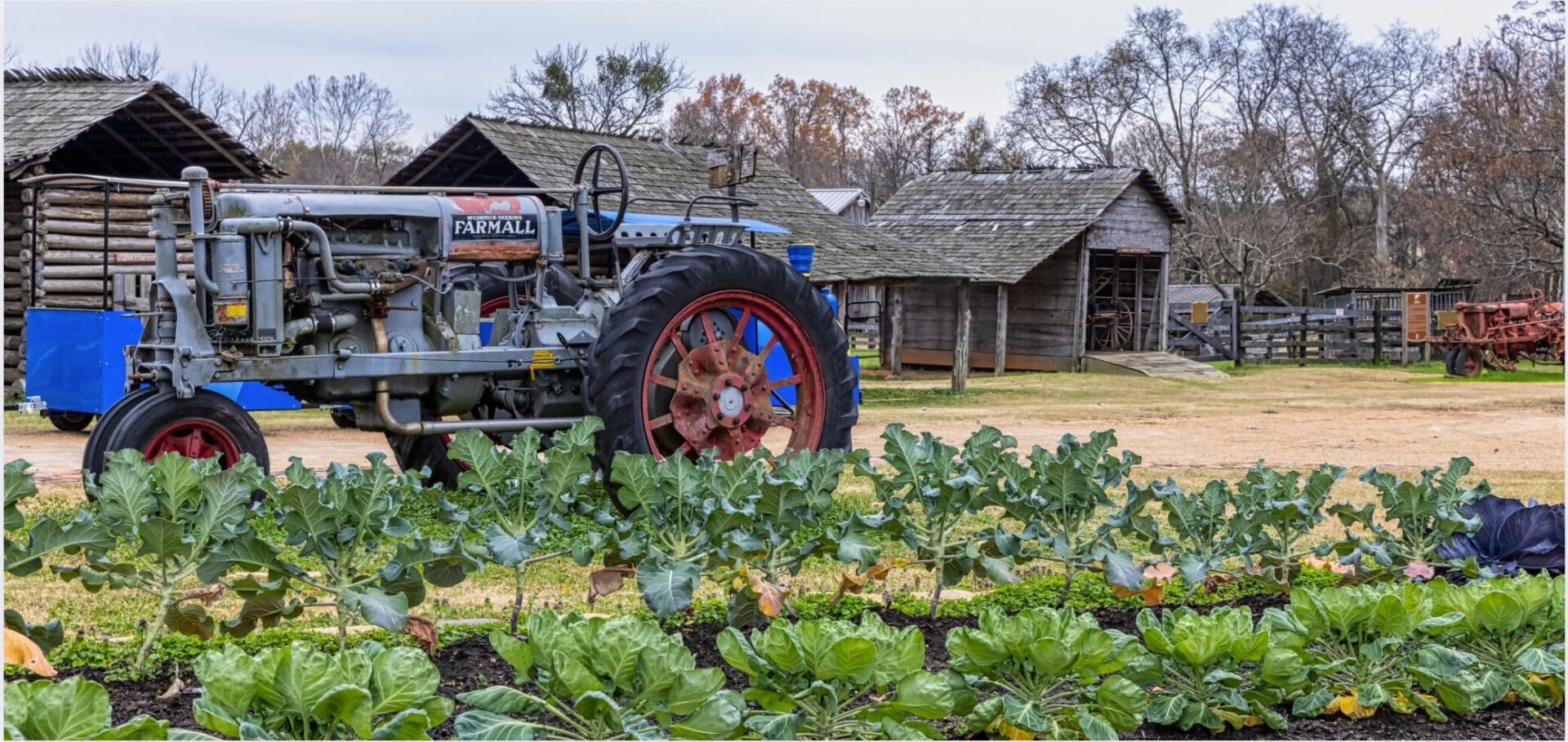 Mississippi Agriculture & Forestry Museum