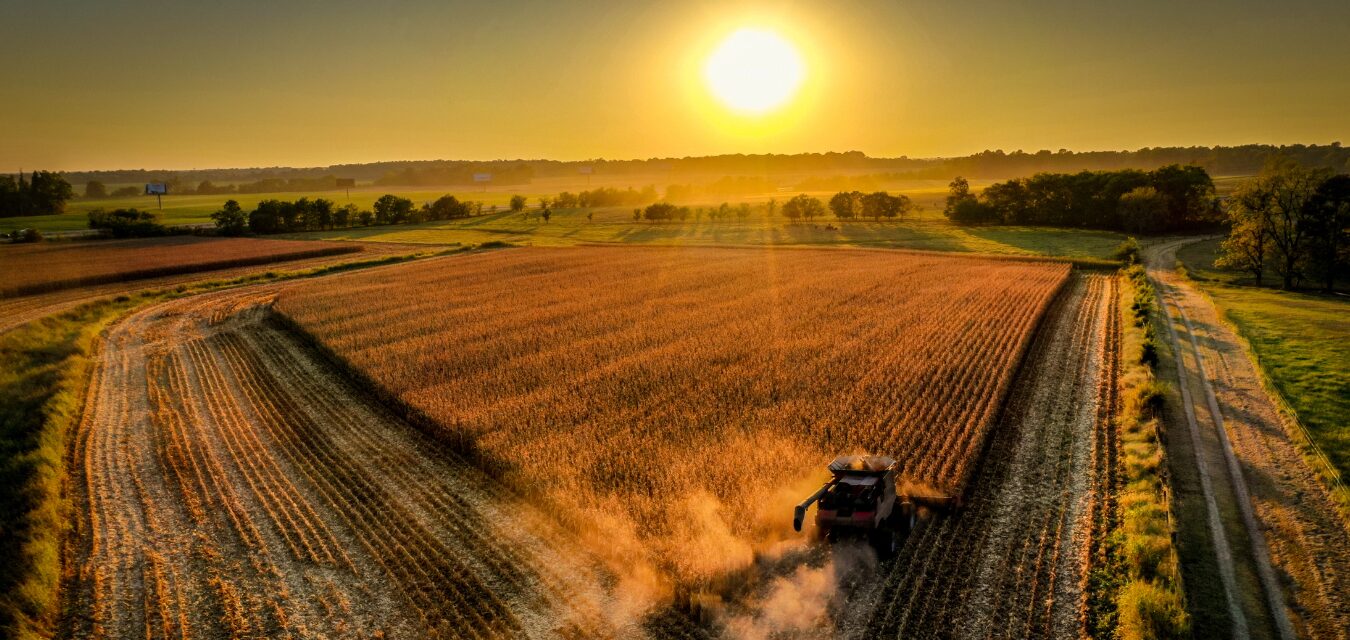 From Field to Fork in Hopkinsville, Kentucky