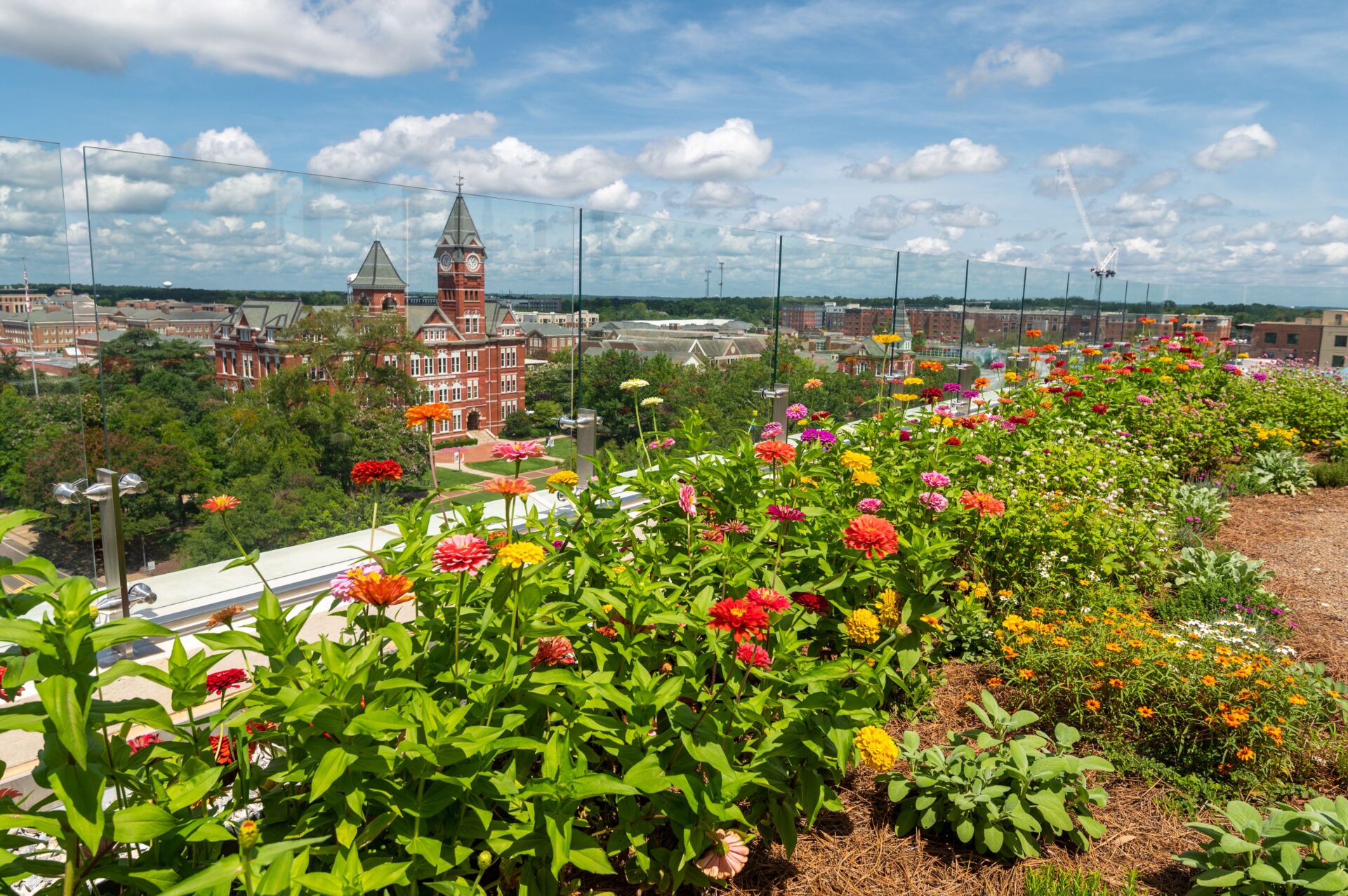 Aerial view of Auburn, Alabama