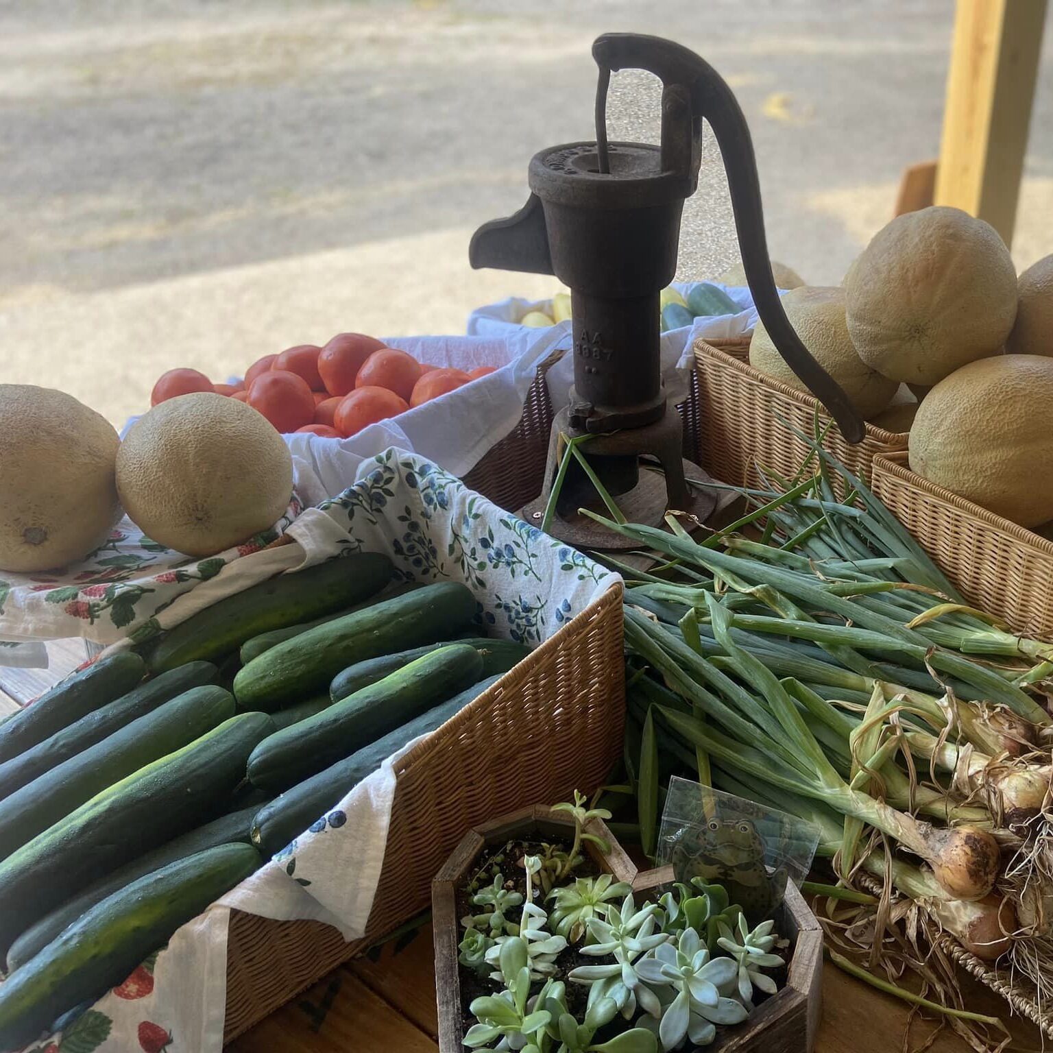 Fresh vegetables on an outdoor produce stand in Surry County, Virginia