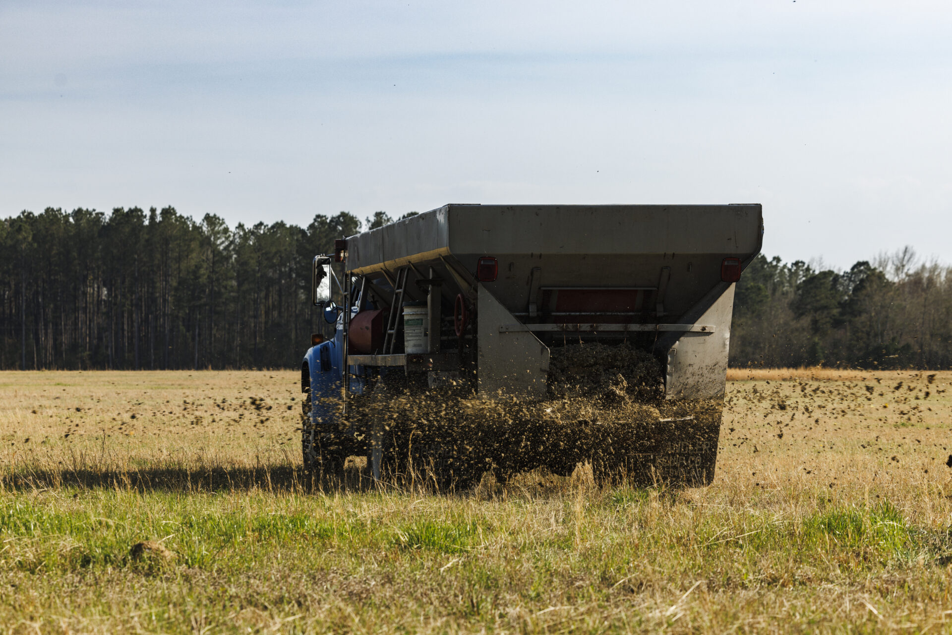 From quail to prized manure