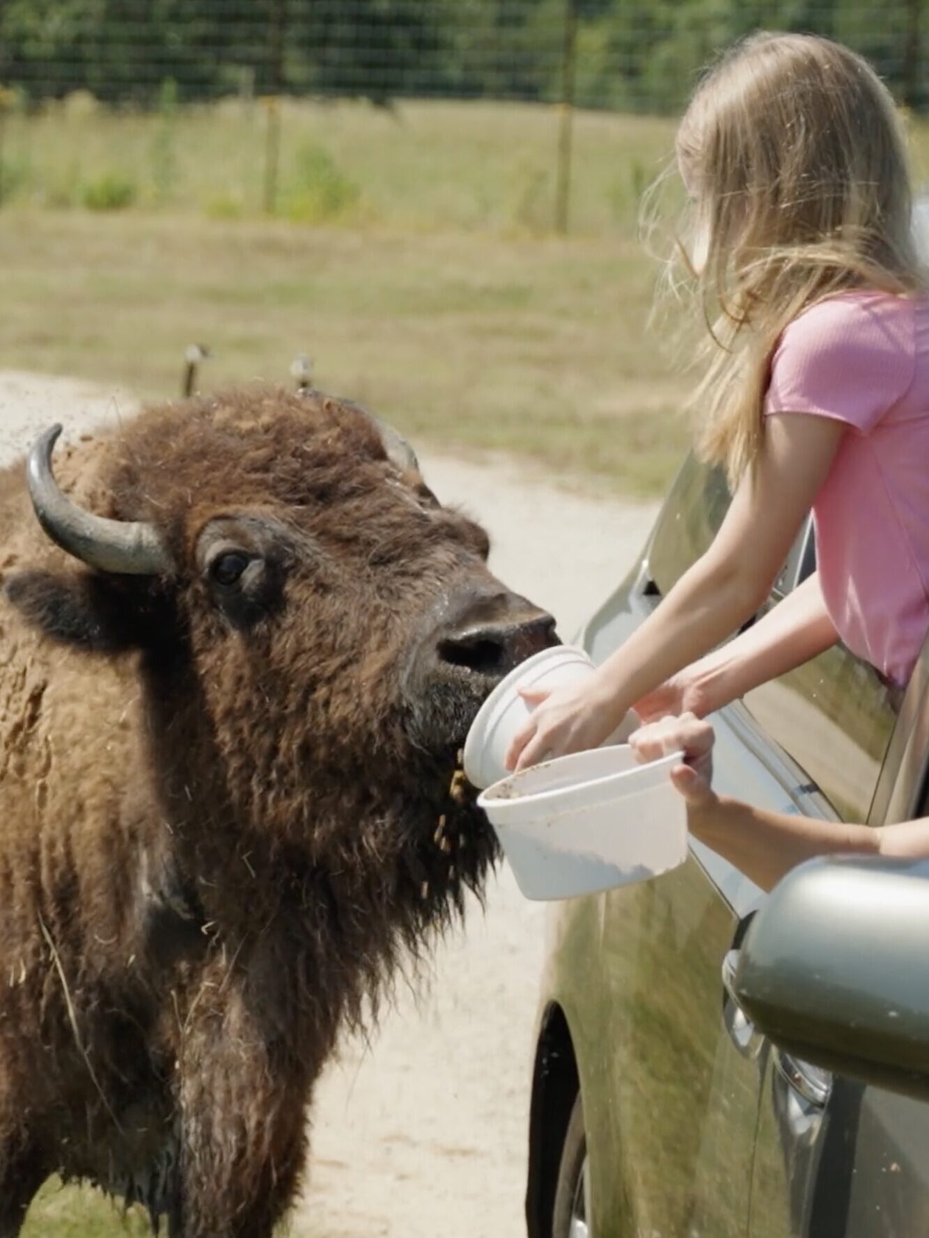 Family fun at Tupelo buffalo Park & Zoo