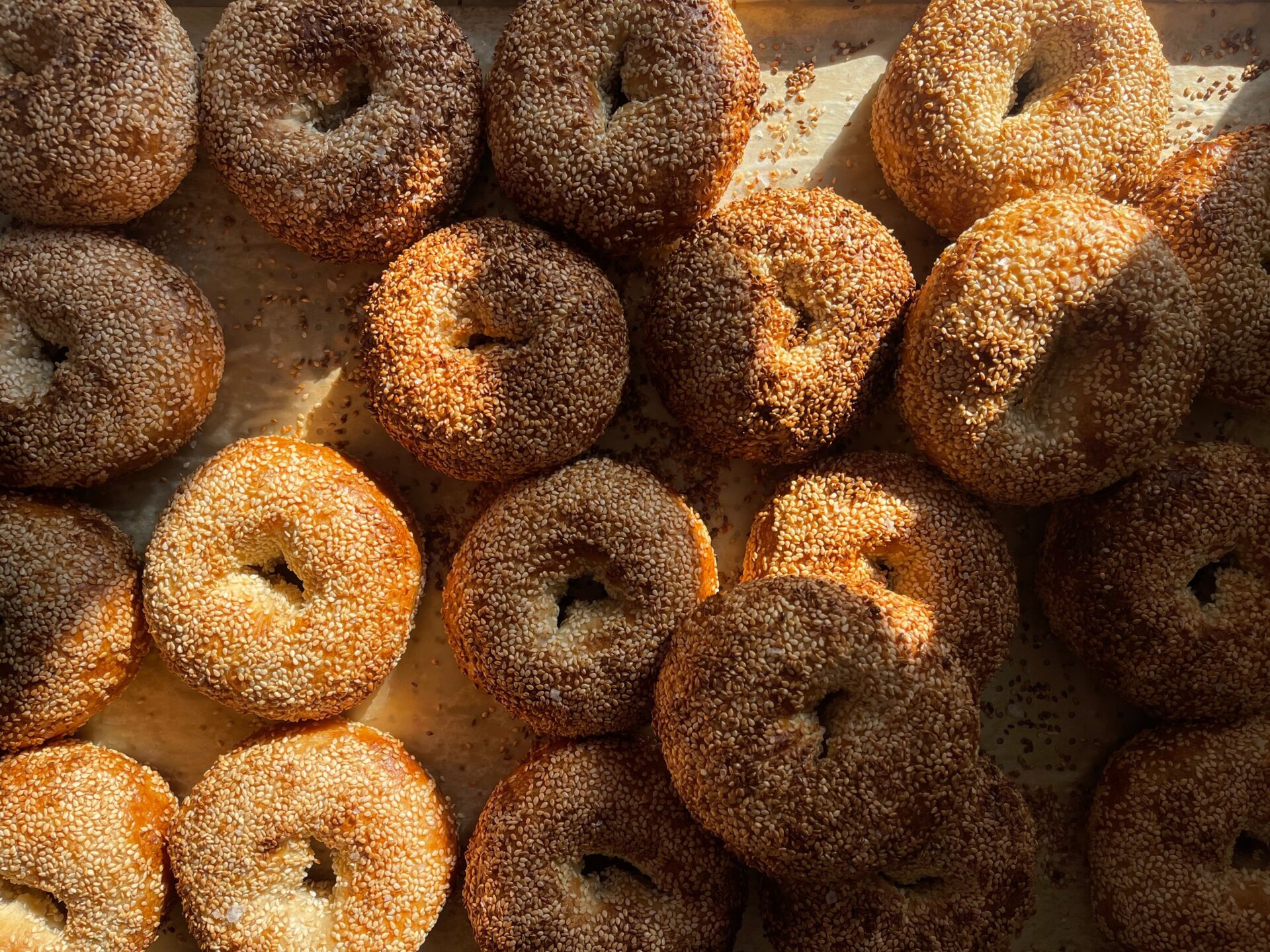 Rows of bagels from Sunday Bagel in Richmond, VA
