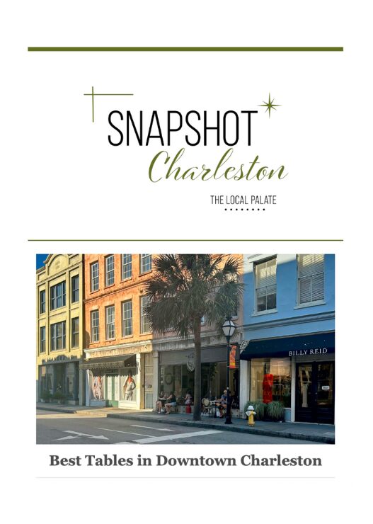 Snapshot Preview Images