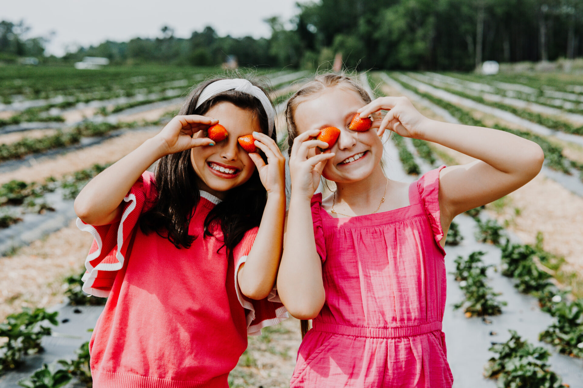 Two young girls standing in a pick-your-own strawberry farm holding strawberries over their eyes in Tifton.