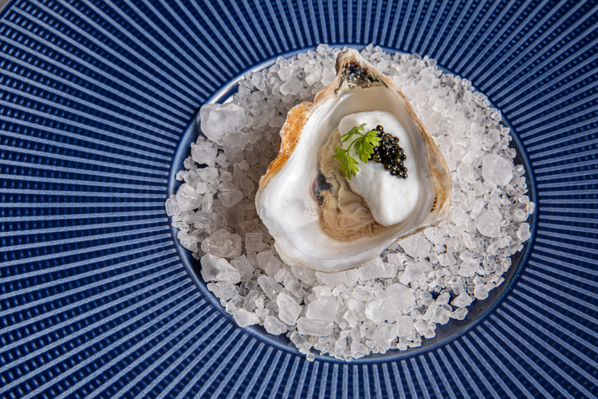 Dressed Oyster Credit Andrew Cebulka