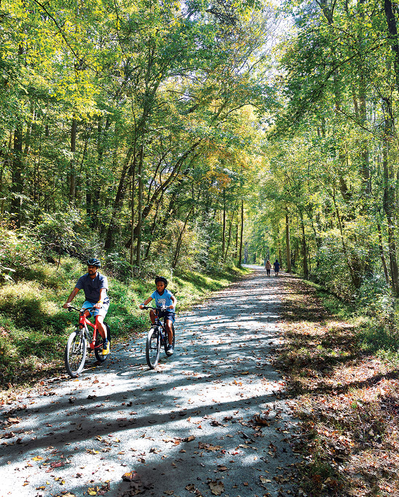 A man and child bike along the Deep River State Trail among a grove of bright green trees in Randolph County, North Carolina.