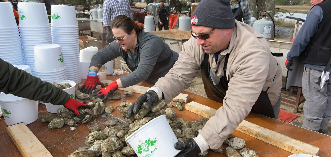 Lowcountry Oyster Festival