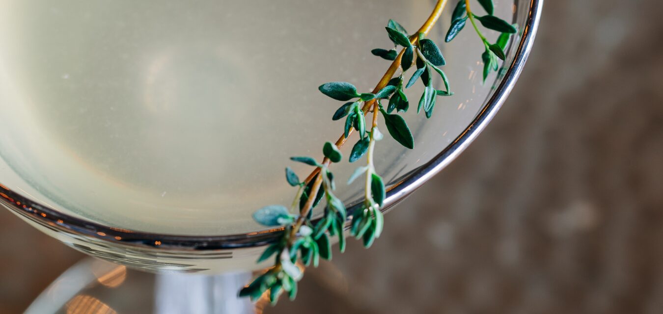 Herb Gimlet cocktail