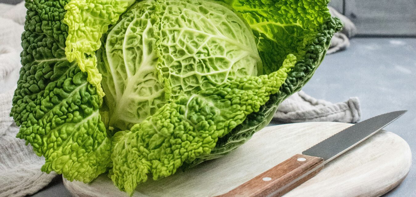 Cabbage stock image recipe