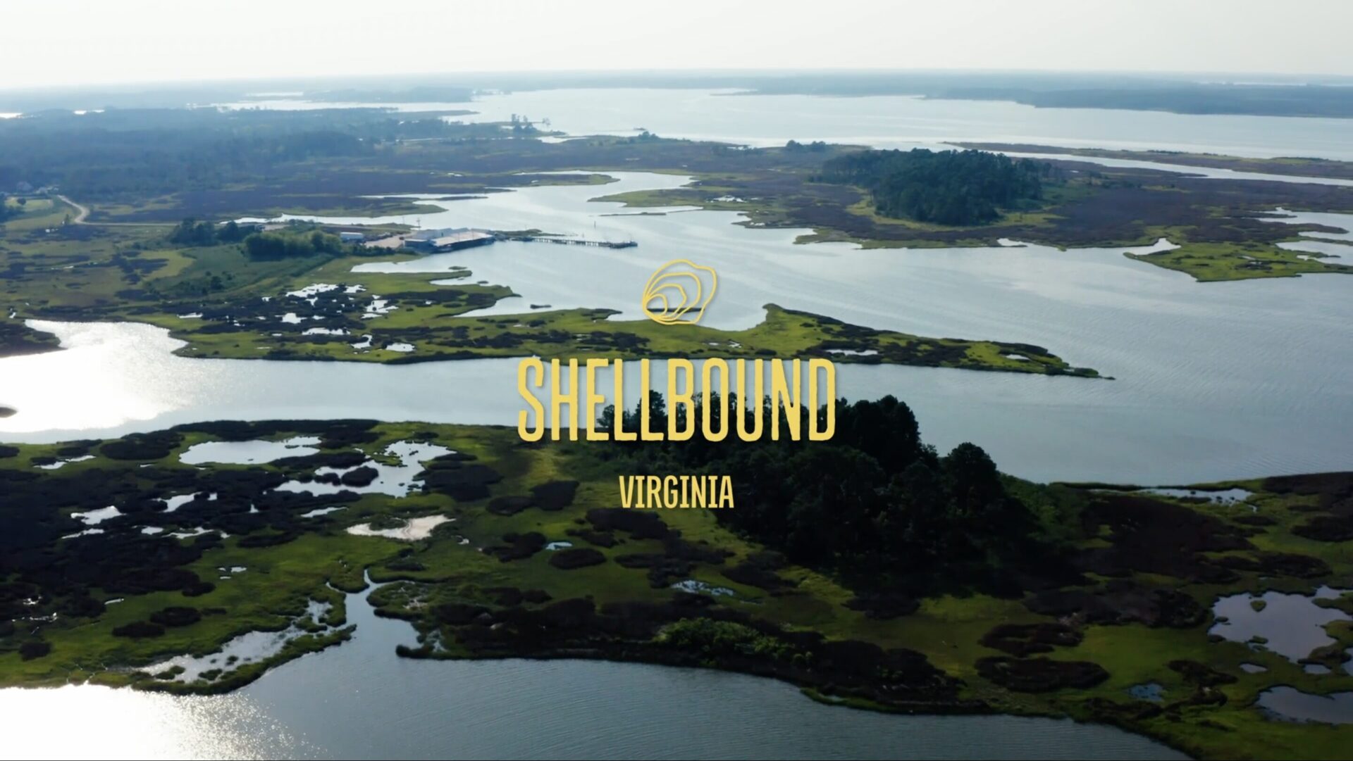 ShellBound Virginia Cover Image